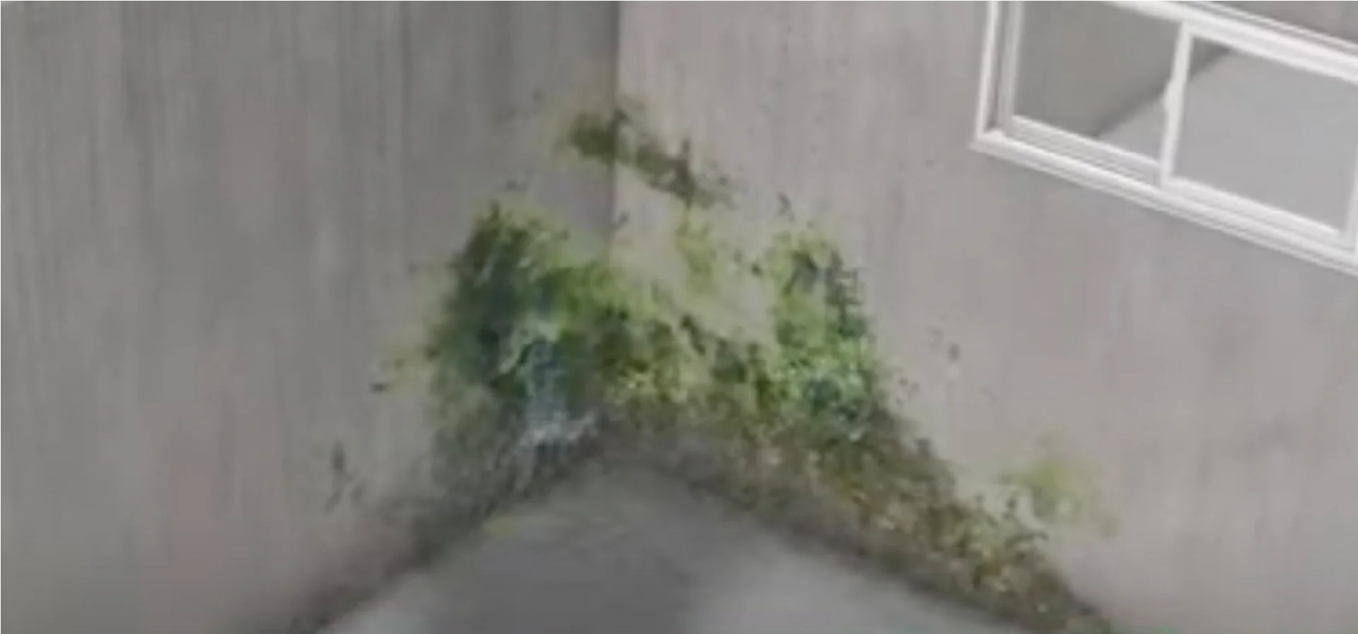 Présentation vidéo d’une infiltration dans une fondation